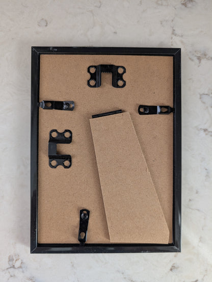 Birthday Jester - Framed and Printed Art