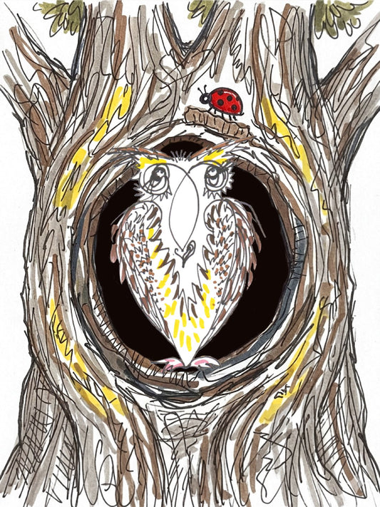 Balanceo the Owl - Greeting Card